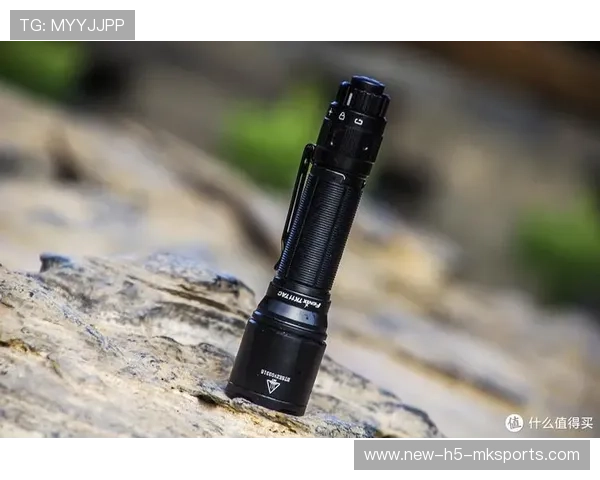 战术体系：运行稳定（490 ）