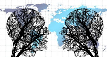 mk体育全站-体育新闻中心协同多方建立体育内容风控机制，体育新闻机构